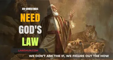 Do Christians Need God's Law? Exploring Faith, Grace, and Obedience