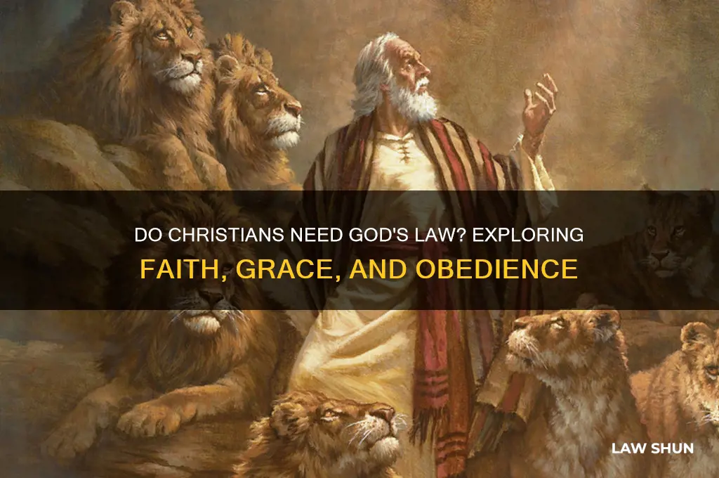 do christinas need god