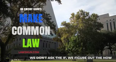 Circuit Courts and Common Law: How Are They Linked?