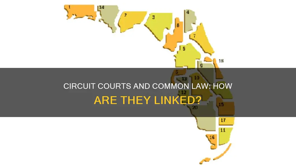 do circuit courts make common law