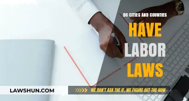 Understanding Local Labor Laws: Do Cities and Counties Have Their Own?