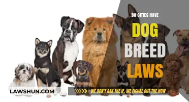 Exploring Urban Canine Regulations: Do Cities Enforce Dog Breed Laws?