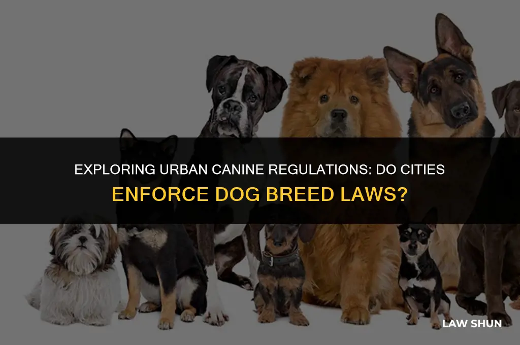 do cities have dog breed laws