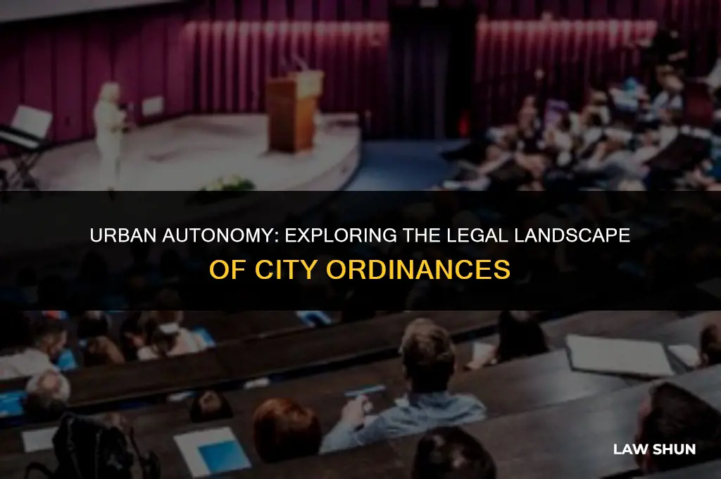 do cities have their own laws