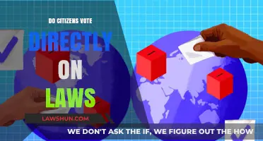 Direct Democracy: Do Citizens Really Vote on Laws?