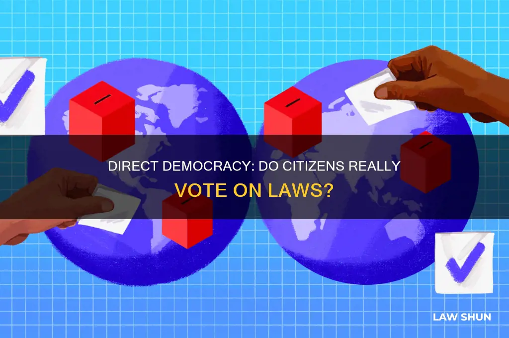 do citizens vote directly on laws