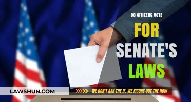 Do Citizens Directly Influence Senate Legislation Through Voting?