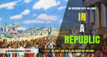 Do Citizens Vote on Laws in a Republic? Exploring Direct Democracy