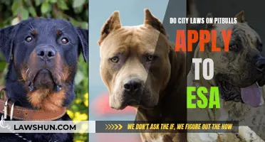 ESAs and Pitbulls: Understanding City Laws