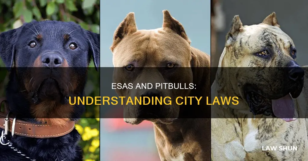 do city laws on pitbulls apply to esa