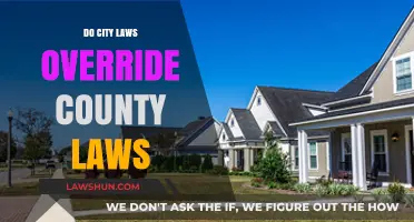 Navigating the Legal Landscape: City Ordinances vs. County Statutes