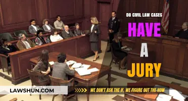 Civil Law Juries: Who Decides the Verdict?