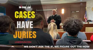 Civil Law Juries: Who Decides the Verdict?