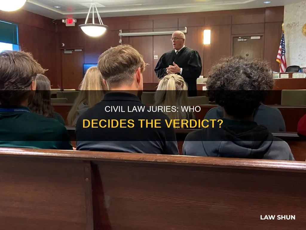 do civil law cases have juries