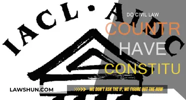 Civil Law Countries: Constitutions and Their Place