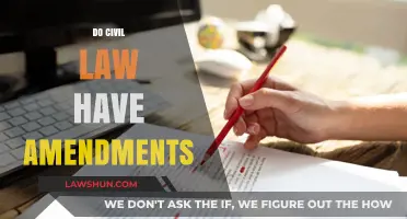 Can Civil Law Be Amended? Exploring the Flexibility of Legal Systems