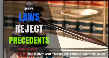 Do Civil Laws Reject Precedents? Exploring Legal Traditions and Practices