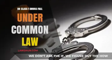 Understanding Class 1 Drugs and Common Law