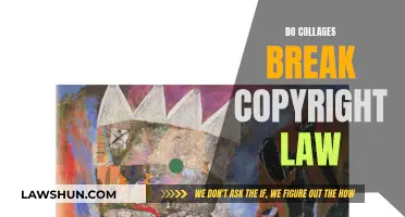 Understanding Fair Use: Collages and Copyright Law