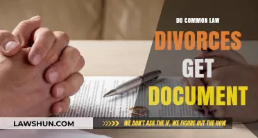 Common-Law Divorces: What Paperwork Is Needed?