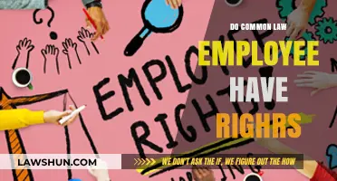 Understanding Common Law Employee Rights
