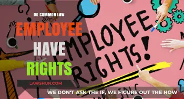 Understanding Common Law Employee Rights