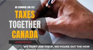 Common-Law Couples: Filing Taxes Together in Canada