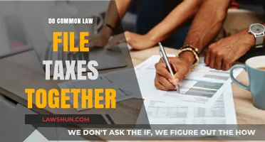 Filing Taxes Together: Common Law Couples' Guide