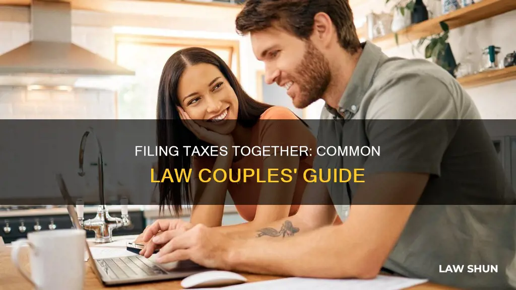 do common law file taxes together