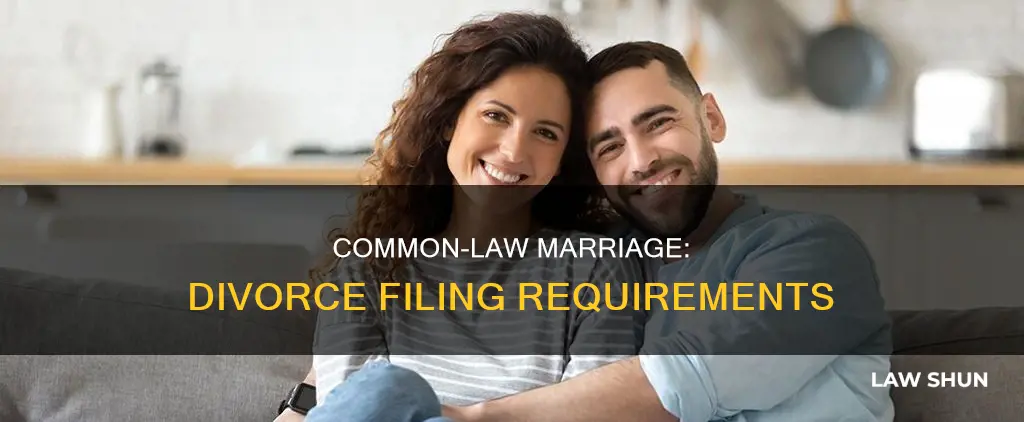 do common law marriages have to file divorce papers