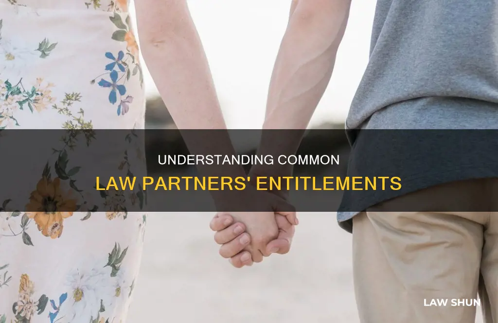 do common law partners get half
