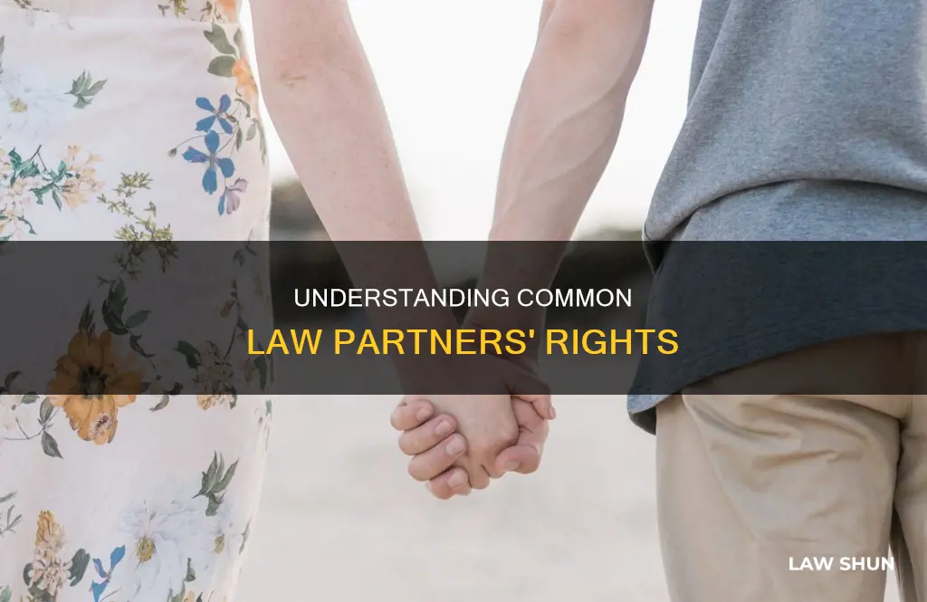 do common law partners have rights