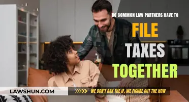 Understanding Tax Filing for Common-Law Partners