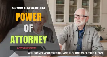Common-Law Partners: Who Holds Power of Attorney?