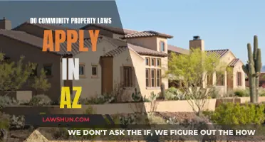 Understanding Community Property Laws in Arizona