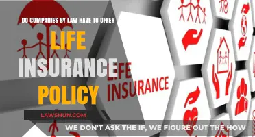 Legal Obligations: Must Companies Provide Life Insurance Policies?