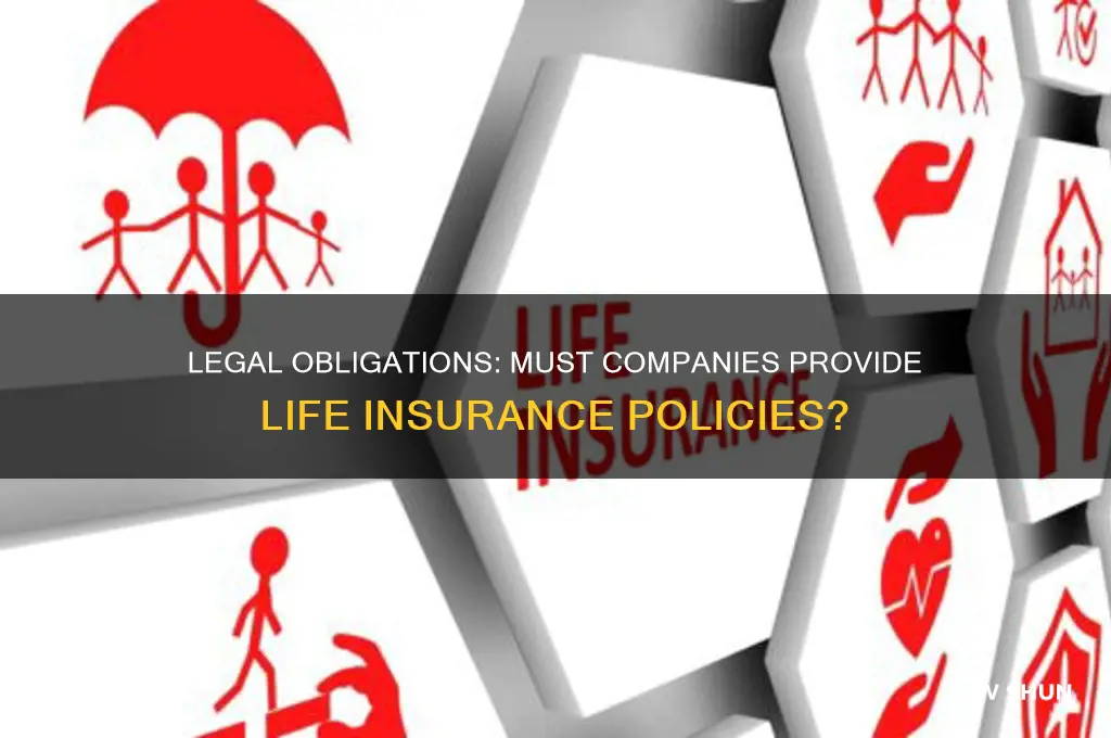 do companies by law have to offer life insurance policy