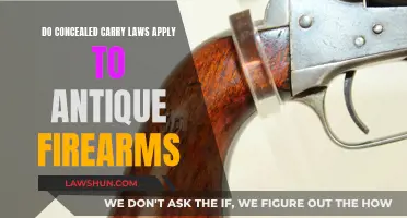 Antique Firearms: Concealed Carry Law Exemptions?