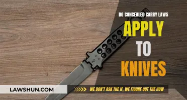 Knife Laws and Concealed Carry: What You Need to Know