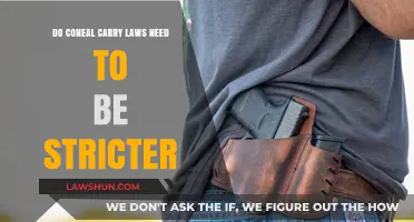 Stricter Conceal Carry Laws: Enhancing Public Safety or Infringing Rights?