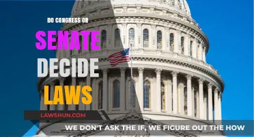 Which Branch of Government Has the Power to Decide Laws?