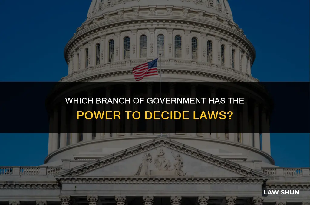 do congress or senate decide laws