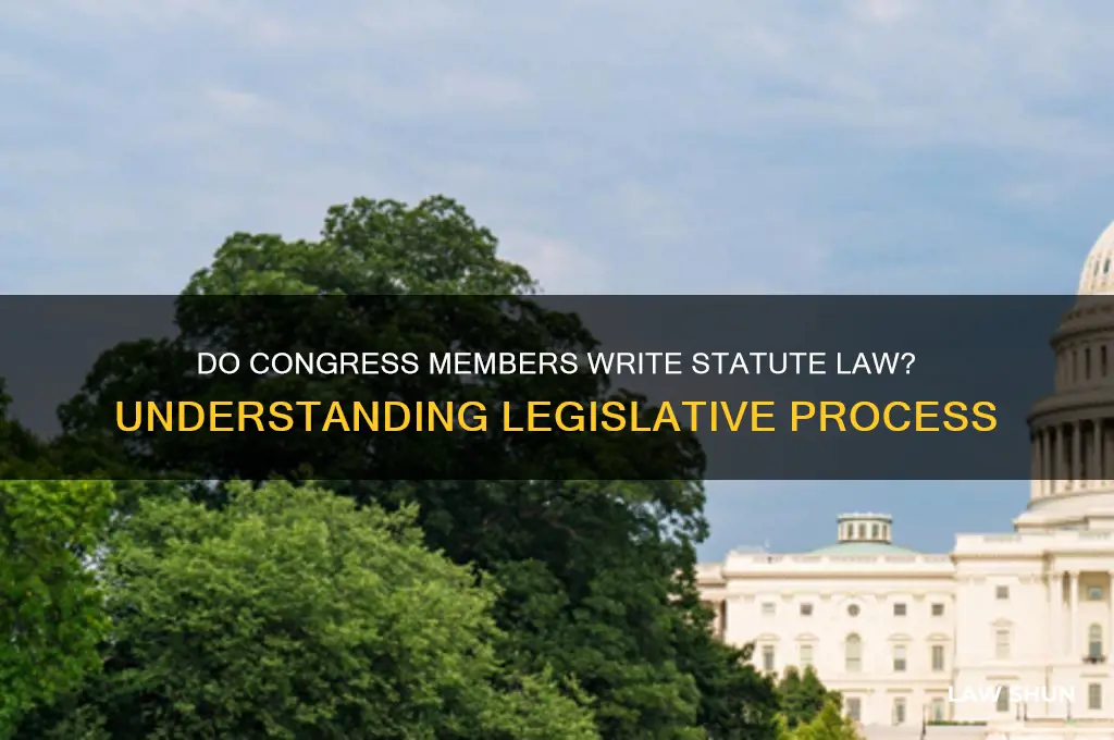 do congress write the statute law