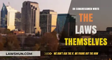 Do Congressmen Write Laws or Rely on Staff and Lobbyists?