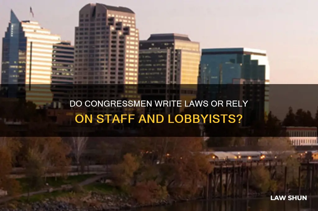 do congressmen write the laws themselves