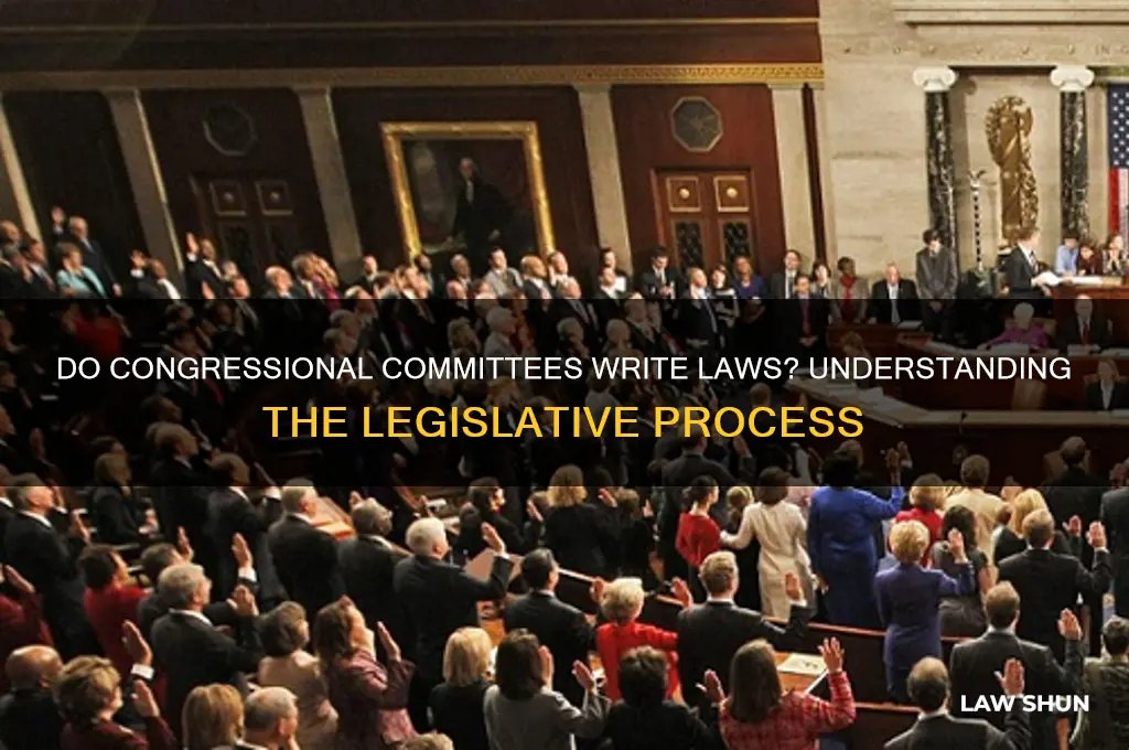 do conrgessional committees write laws