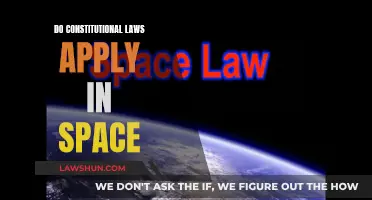 Exploring Space Law: Do Constitutions Apply in Orbit?