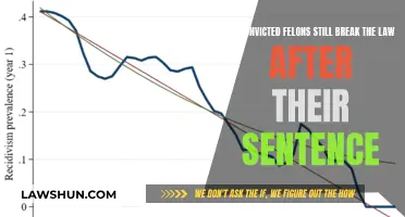 Do Convicted Felons Reoffend? A Study on Recidivism Rates