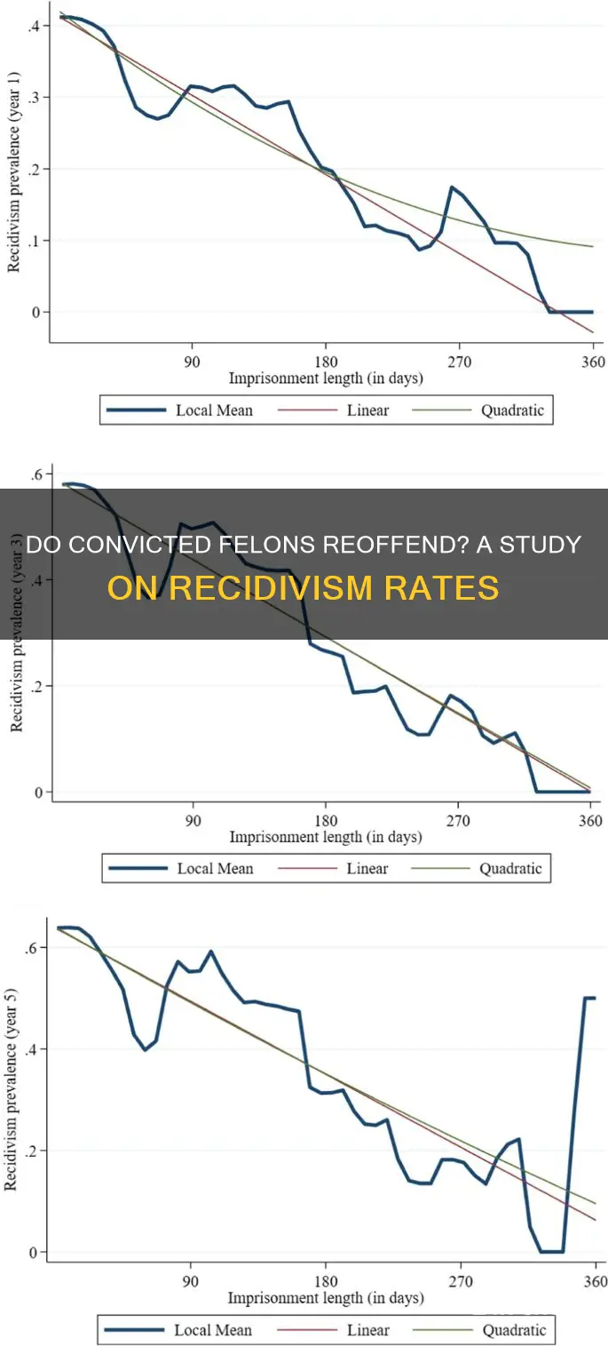 do convicted felons still break the law after their sentence