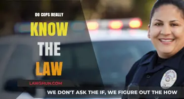 Understanding Legal Knowledge Among Law Enforcement Officers